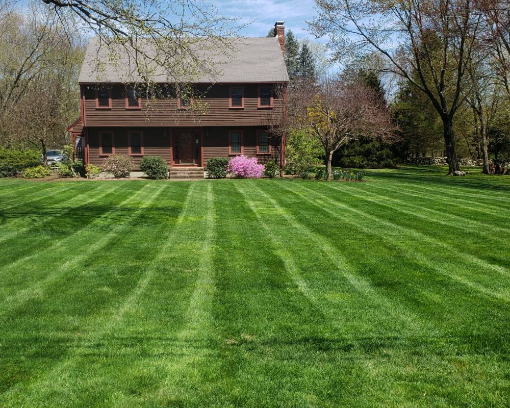 Well-manicured lawn with visible mowing stripes leading up to a two-story brown house